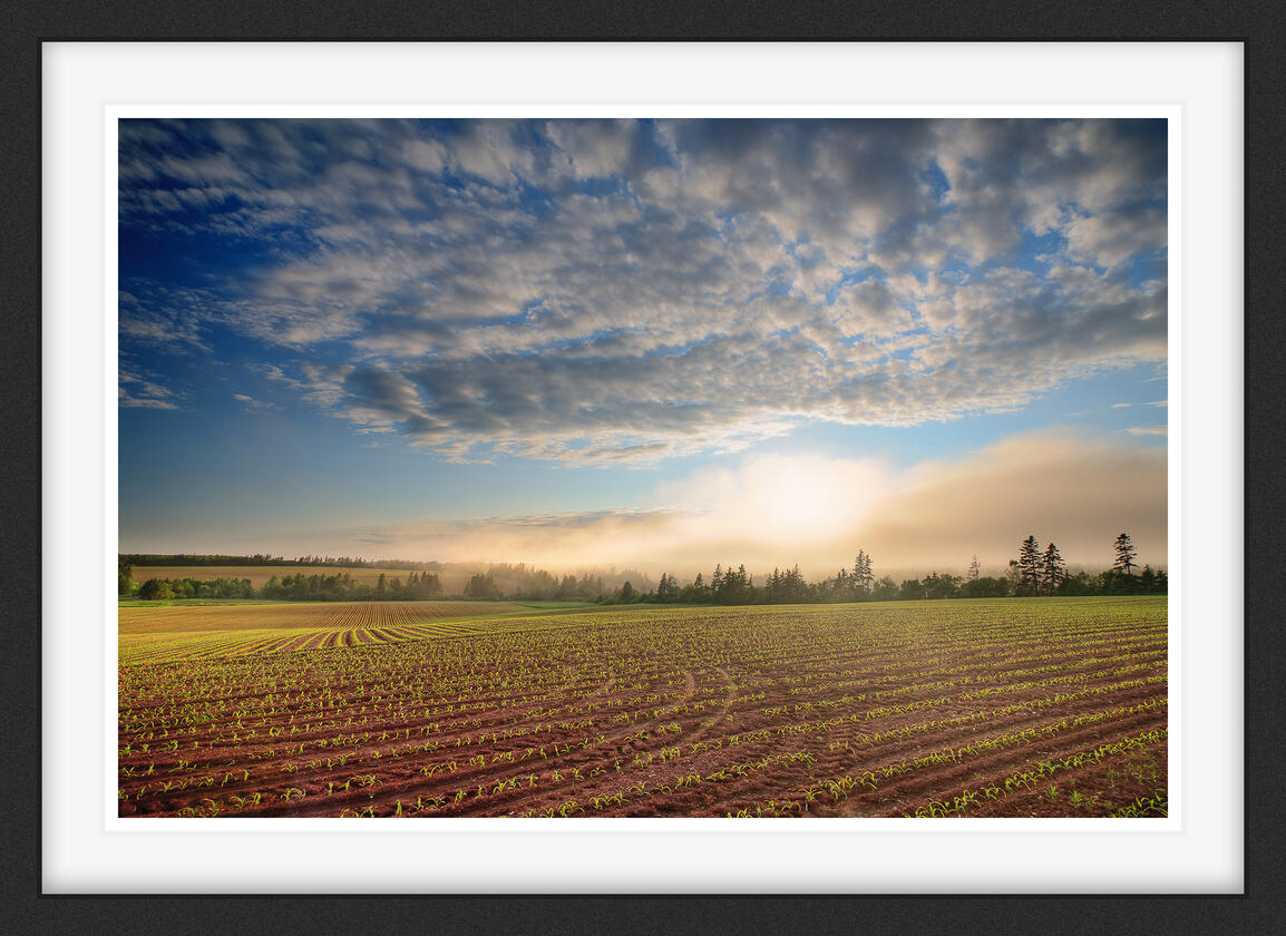 Prince Edward Island